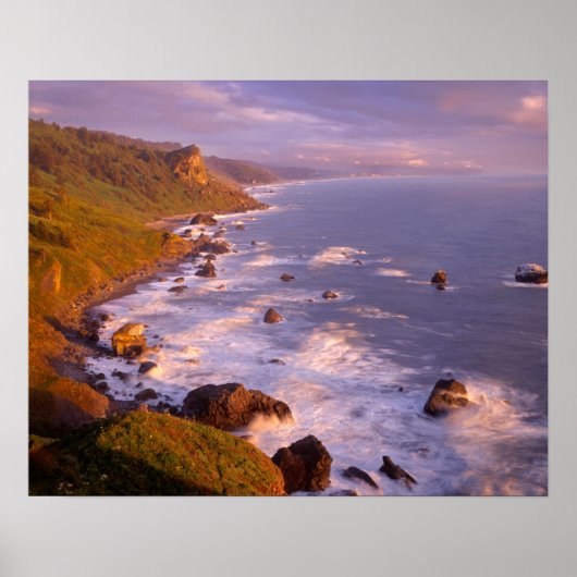 Redwoods coastline, California Poster (Vorne)