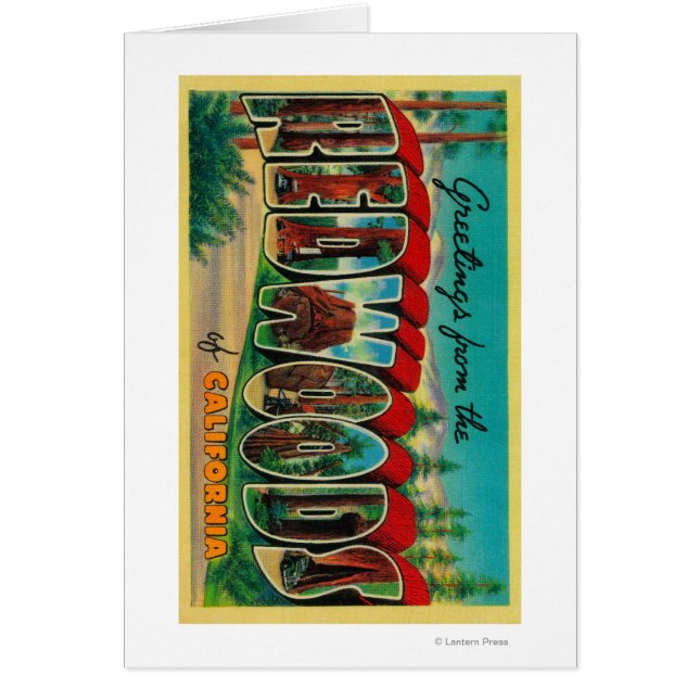 Redwoods, Kalifornien - Großbuchstaben (Vorne)