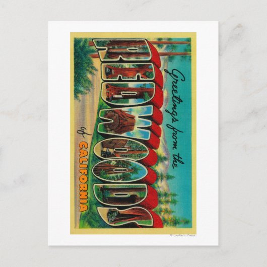 Redwoods, Kalifornien - Große Briefmarkenszenen Postkarte (Vorderseite)