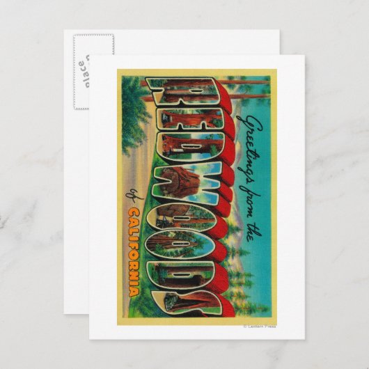 Redwoods, Kalifornien - Große Briefmarkenszenen Postkarte (Vorne/Hinten)