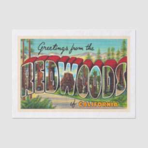 Redwoods Kalifornien Vintage Große Brief Postkarte Seidenpapier