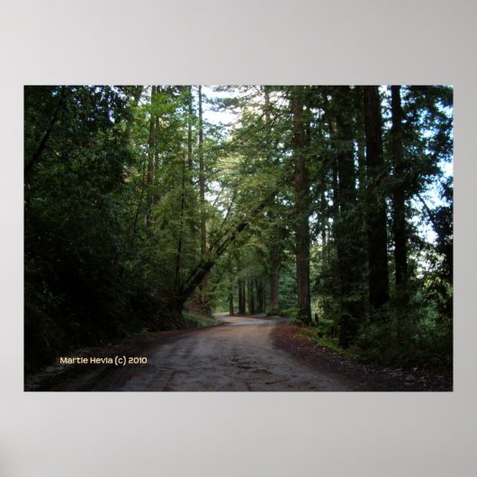 Redwoods Mountain Road Poster (Vorne)