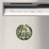 Redwoods National Park California Forest Painting Magnet (In Situ (Geschirrspüler))