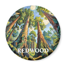 Redwoods National Park California Forest Painting