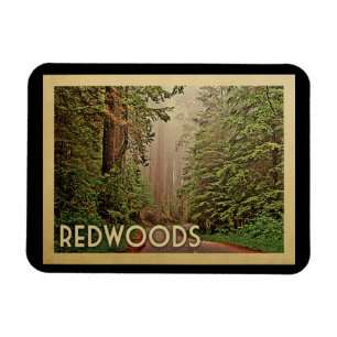 Redwoods National Park California Magnet