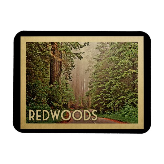 Redwoods National Park California Magnet (Horizontal)