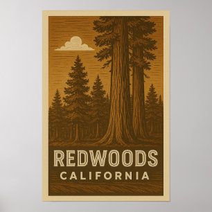 Redwoods National Park California Poster
