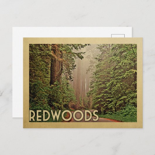 Redwoods National Park California Postkarte (Vorne/Hinten)