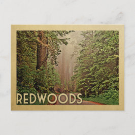 Redwoods National Park California Postkarte