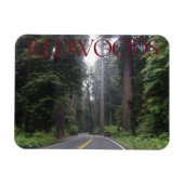 Redwoods National Park Magnet (Horizontal)
