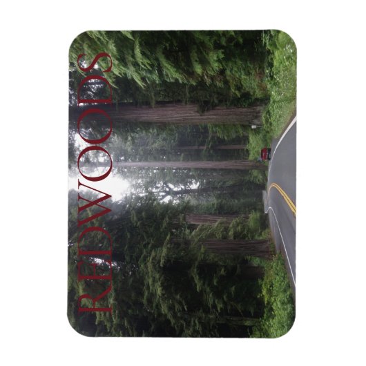 Redwoods National Park Magnet (Vertikal)