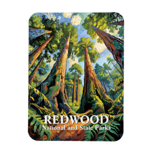 Redwoods Nationalpark Kalifornien Van Gogh Custom Magnet