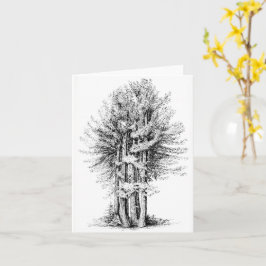 Redwoods Notecard Karte