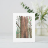 redwoods postcard postkarte (Stehend Vorderseite)