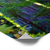 Redwoods Poster (Ecke)