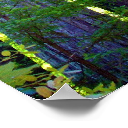 Redwoods Poster (Ecke)