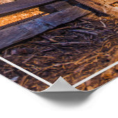 Redwoods-Poster Poster (Ecke)