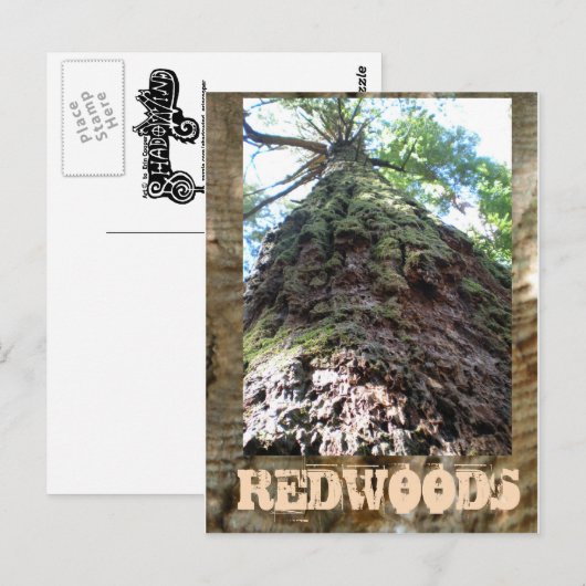Redwoods Riant Postkarte (Vorne/Hinten)