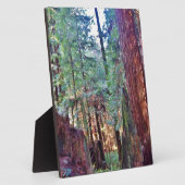 Redwoods Series #2: Durch die Bäume Fotoplatte (Seite)