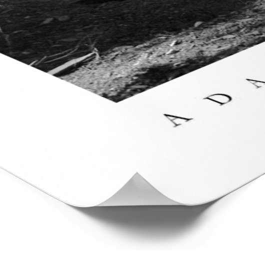 Redwoods Staat Park Poster (Ecke)