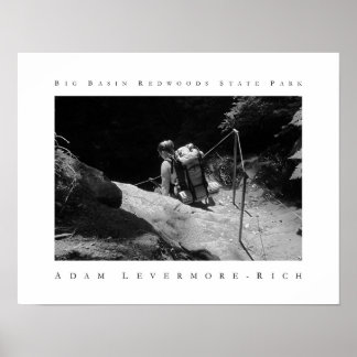 Redwoods Staat Park Poster
