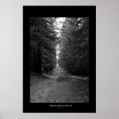 Redwoods Staat Park Poster (Vorne)
