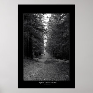 Redwoods Staat Park Poster