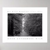 Redwoods Staat Park Poster (Vorne)