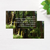 Redwoods und Ferns im Redwood-Nationalpark (Schreibtisch)