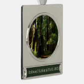 Redwoods und Ferns im Redwood-Nationalpark Banner-Ornament Silber (Rechts)