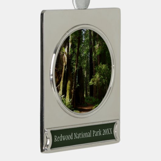 Redwoods und Ferns im Redwood-Nationalpark Banner-Ornament Silber (Rechts)