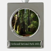 Redwoods und Ferns im Redwood-Nationalpark Banner-Ornament Silber (Vorderseite)