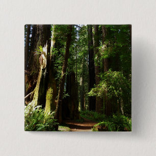 Redwoods und Ferns im Redwood-Nationalpark Button