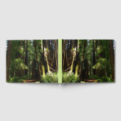 Redwoods und Ferns im Redwood-Nationalpark Gästebuch (Voll)