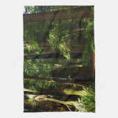 Redwoods und Ferns im Redwood-Nationalpark Geschirrtuch (Vertikal)