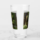 Redwoods und Ferns im Redwood-Nationalpark Glas (Links)