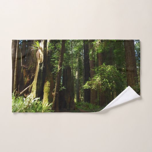 Redwoods und Ferns im Redwood-Nationalpark Handtuch (Handtuch)