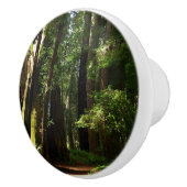 Redwoods und Ferns im Redwood-Nationalpark Keramikknauf (Rechts)