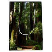 Redwoods und Ferns im Redwood-Nationalpark Mittlere Geschenktüte (Rückseite)