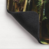 Redwoods und Ferns im Redwood-Nationalpark Mousepad (Ecke)