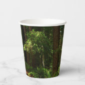 Redwoods und Ferns im Redwood-Nationalpark Pappbecher (Rückseite)