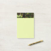 Redwoods und Ferns im Redwood-Nationalpark Post-it Klebezettel (Auf Schreibtisch)