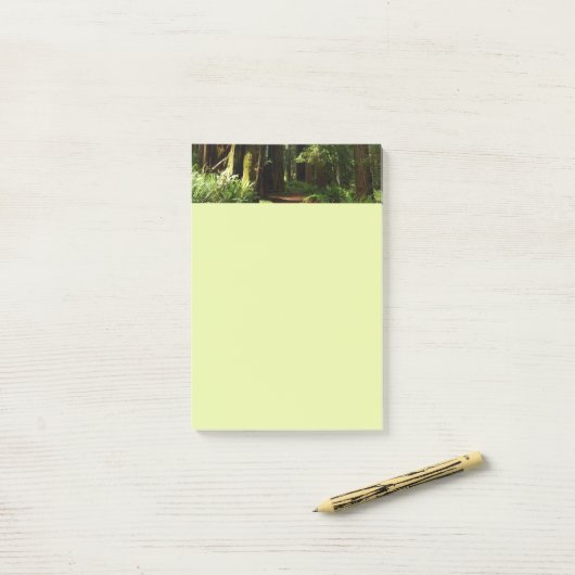 Redwoods und Ferns im Redwood-Nationalpark Post-it Klebezettel (Auf Schreibtisch)