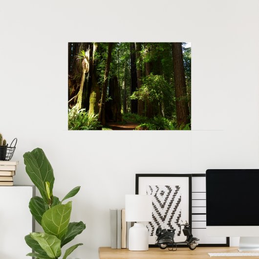 Redwoods und Ferns im Redwood-Nationalpark Poster (Heimbüro)