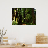 Redwoods und Ferns im Redwood-Nationalpark Poster (Küche)