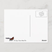 Redwoods und Ferns im Redwood-Nationalpark Postkarte (Rückseite)