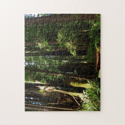 Redwoods und Ferns im Redwood-Nationalpark Puzzle (Vertikal)