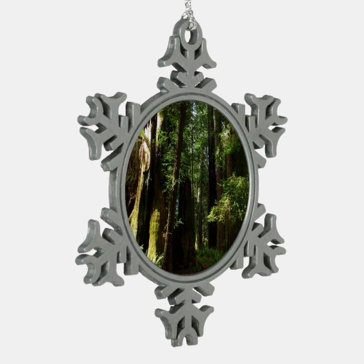 Redwoods und Ferns im Redwood-Nationalpark Schneeflocken Zinn-Ornament (Links)