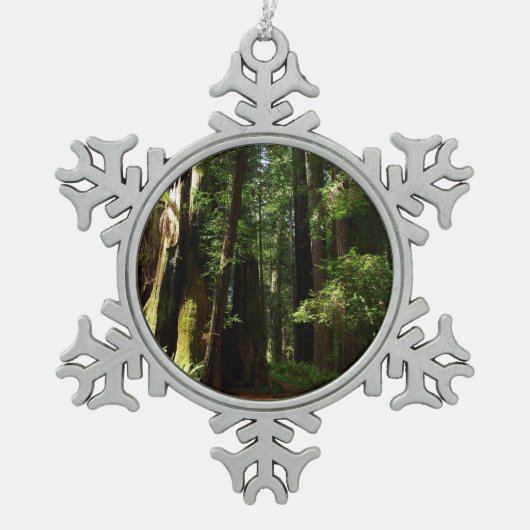 Redwoods und Ferns im Redwood-Nationalpark Schneeflocken Zinn-Ornament (Vorderseite)