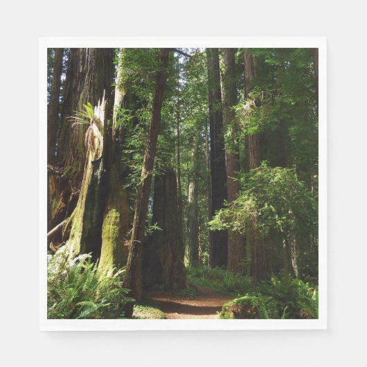 Redwoods und Ferns im Redwood-Nationalpark Serviette (Vorderseite)